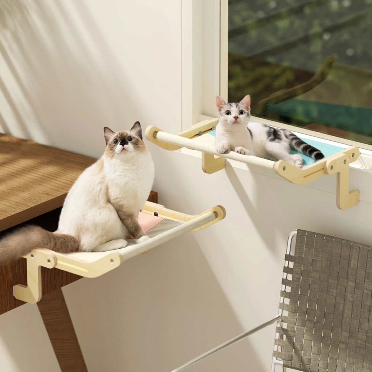 Mewoofun cat window berth: comfort and style combined!