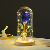 Eternal rose flowers with LED light in glass cover