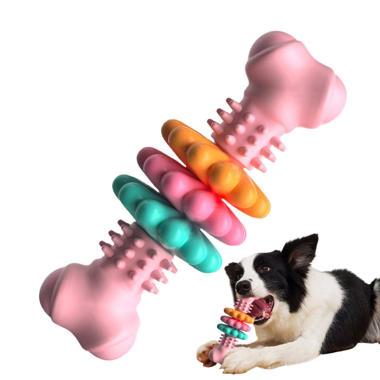 Sturdy chew bone toy for dogs - cleaning and entertainment in one