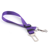 Polyester dog leash with fixed loop - stability meets style