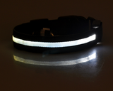 LED Light Up Pet Collar: Safety &amp; style during late night walks