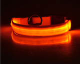 LED Light Up Pet Collar: Safety &amp; style during late night walks