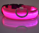 LED Light Up Pet Collar: Safety &amp; style during late night walks