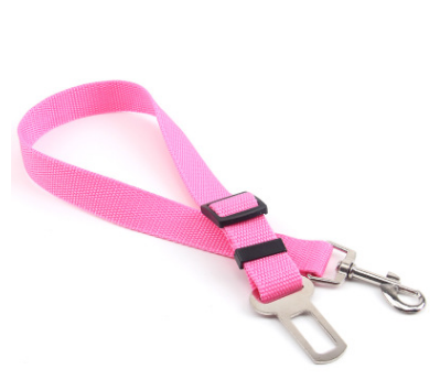 Polyester dog leash with fixed loop - stability meets style