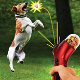 Interactive Food Catapult: fun and training in one toy for your pet!