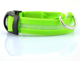 LED Light Up Pet Collar: Safety &amp; style during late night walks