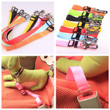 Polyester dog leash with fixed loop - stability meets style