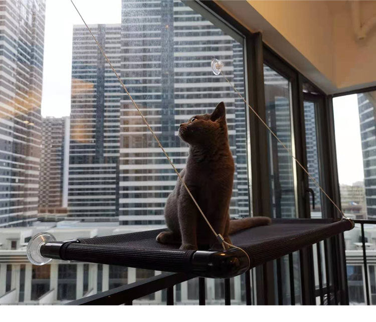 New suction cup splice cat window hammock