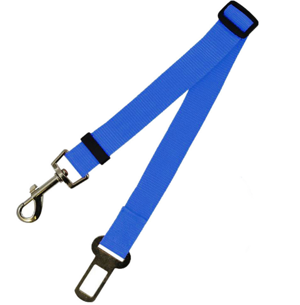 Polyester dog leash with fixed loop - stability meets style