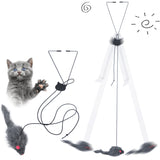 Telescopic Cat Toy: Mouse pendant for hours of fun