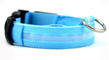 LED Light Up Pet Collar: Safety &amp; style during late night walks