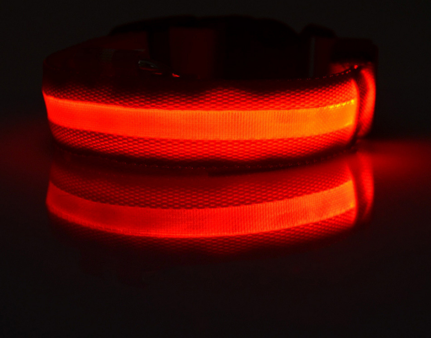 LED Light Up Pet Collar: Safety &amp; style during late night walks