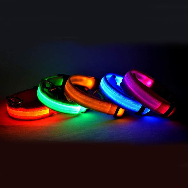 LED Light Up Pet Collar: Safety &amp; style during late night walks