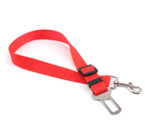 Polyester dog leash with fixed loop - stability meets style