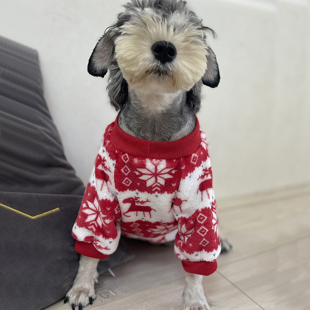 Winter warmth: padded dog sweater for Christmas