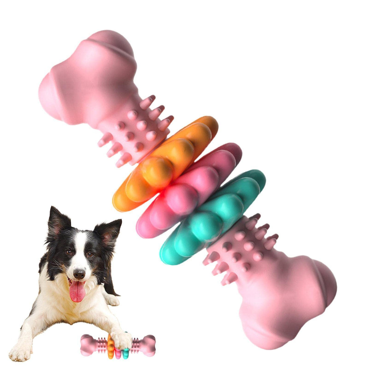 Sturdy chew bone toy for dogs - cleaning and entertainment in one