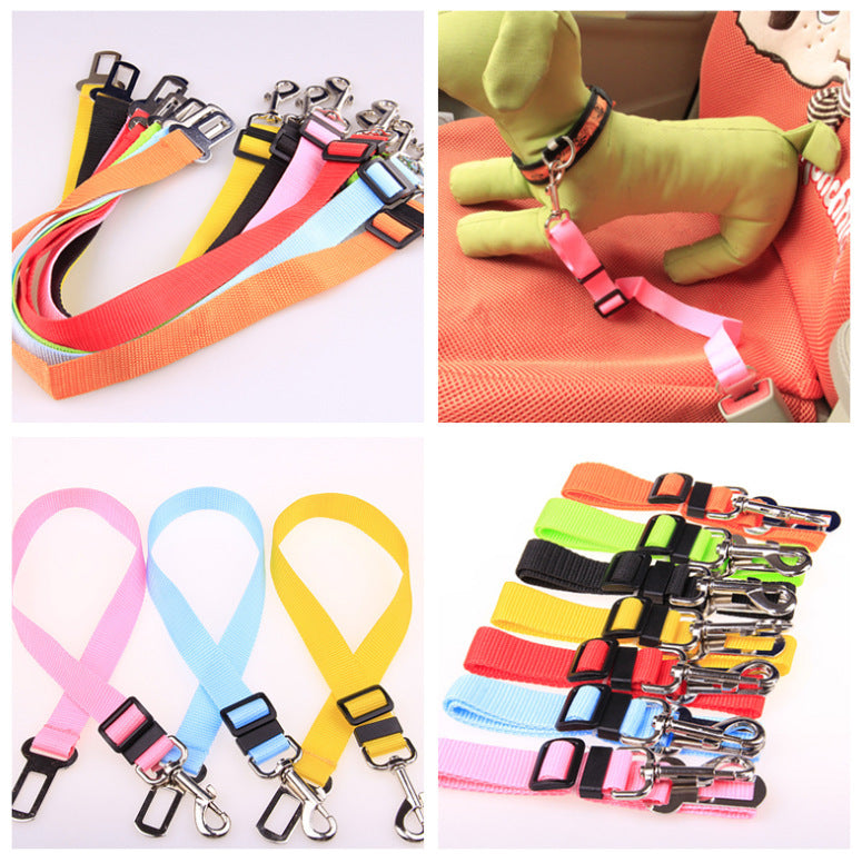 Polyester dog leash with fixed loop - stability meets style