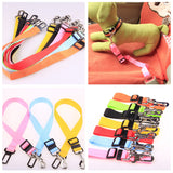 Polyester dog leash with fixed loop - stability meets style