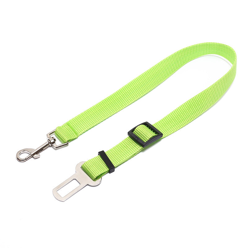 Polyester dog leash with fixed loop - stability meets style