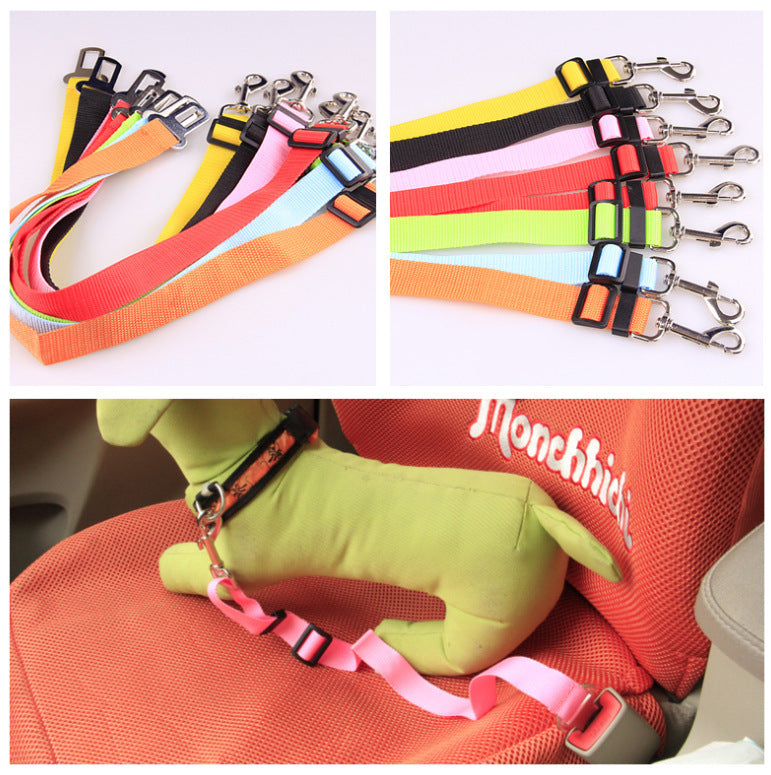 Polyester dog leash with fixed loop - stability meets style