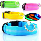 LED Light Up Pet Collar: Safety &amp; style during late night walks