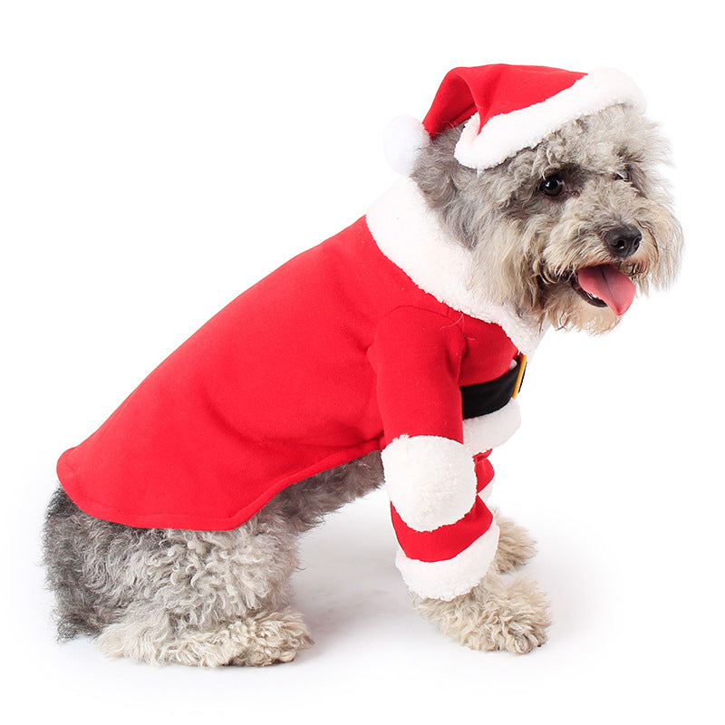 Haustier Weihnachtskostüm - Stehendes Outfit