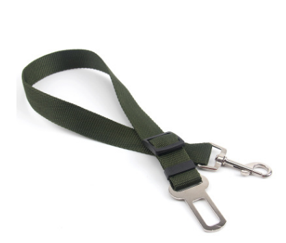 Polyester dog leash with fixed loop - stability meets style