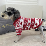 Winter warmth: padded dog sweater for Christmas