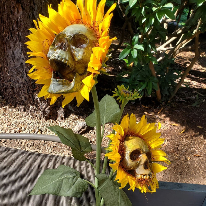 Das ultimative Halloween-Gartenzubehör - Der Schädel-Sonnenblumen-Ornament!