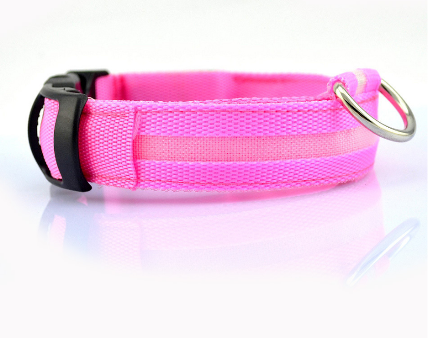 LED Light Up Pet Collar: Safety &amp; style during late night walks