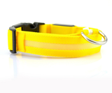 LED Light Up Pet Collar: Safety &amp; style during late night walks