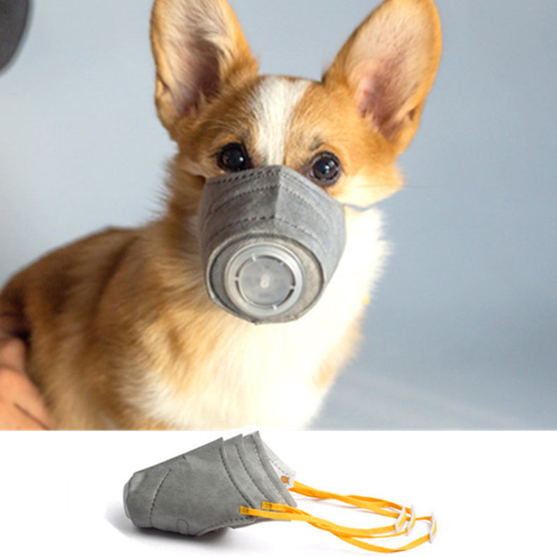 Dog protective masks: Breathe freely and safely! 