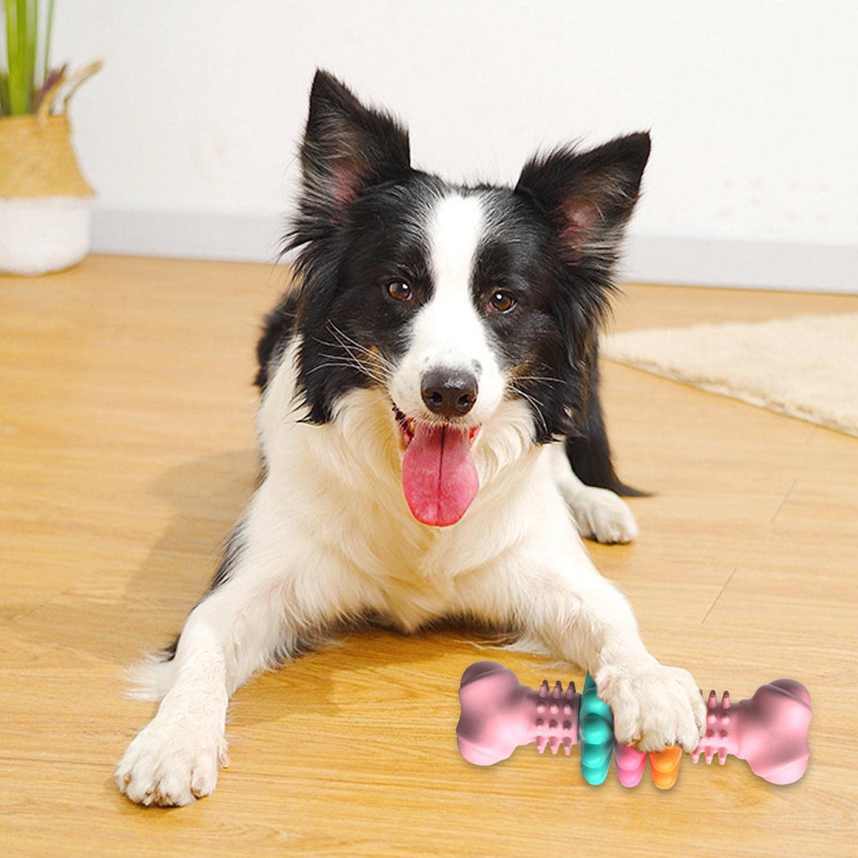 Robustes Kauknochen-Spielzeug für Hunde - Reinigung und Unterhaltung in Einem