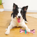 Sturdy chew bone toy for dogs - cleaning and entertainment in one