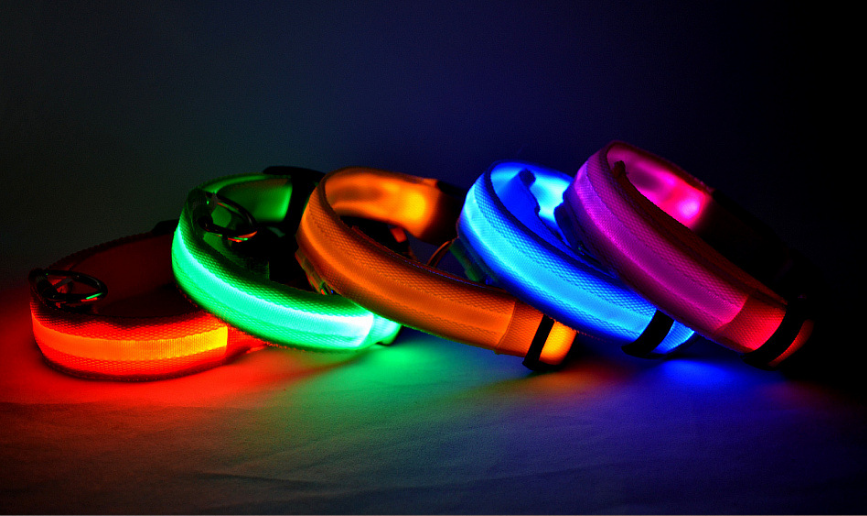 LED Light Up Pet Collar: Safety &amp; style during late night walks