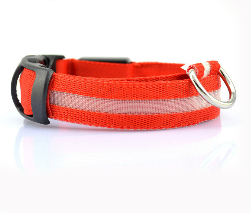 LED Light Up Pet Collar: Safety &amp; style during late night walks