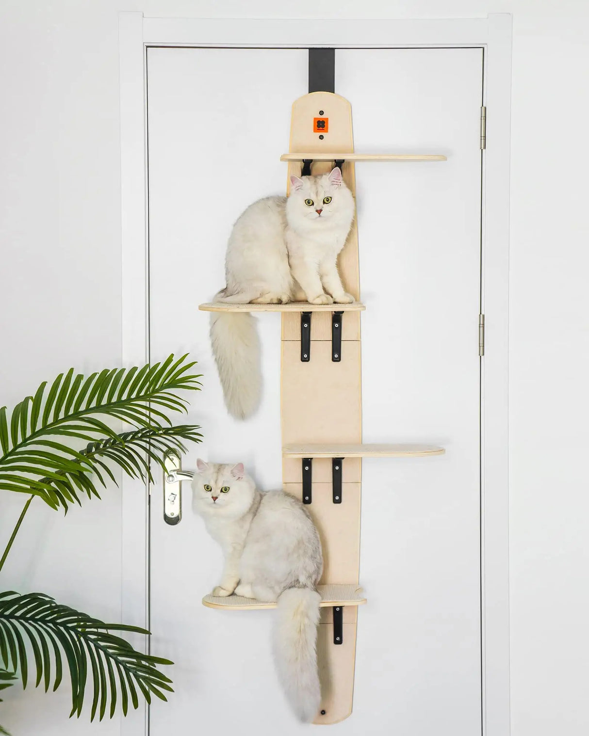 Mewoofun 4-Level Versatile Cat Climber Shelves Door Mounted Vertical Cat Tree