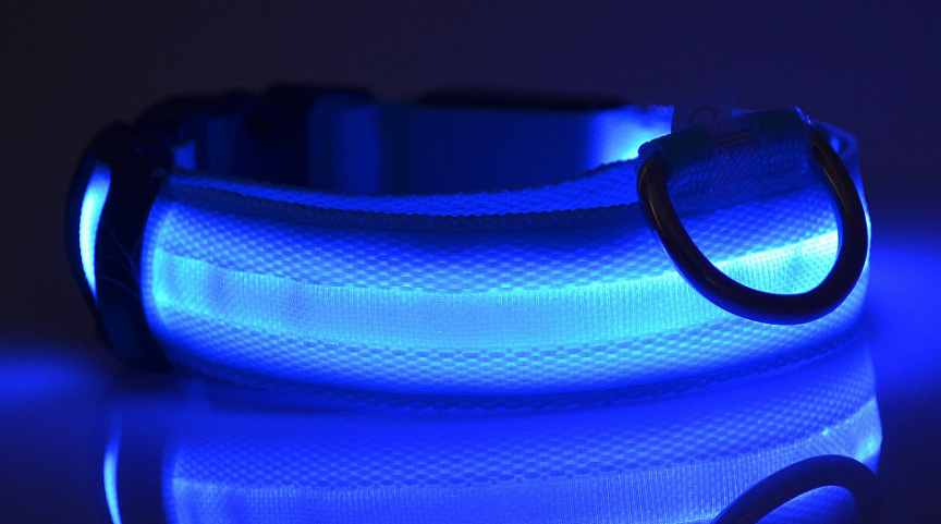 LED Light Up Pet Collar: Safety &amp; style during late night walks