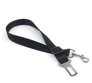 Polyester dog leash with fixed loop - stability meets style