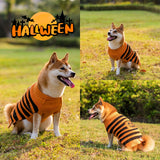 Halloween dog sweater: Cozy cosplay outfit for your four-legged friend