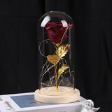 Eternal rose flowers with LED light in glass cover