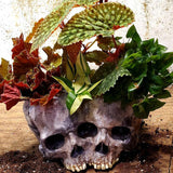 Halloween Skull Resin Flower Pot - A unique work of art for your home!