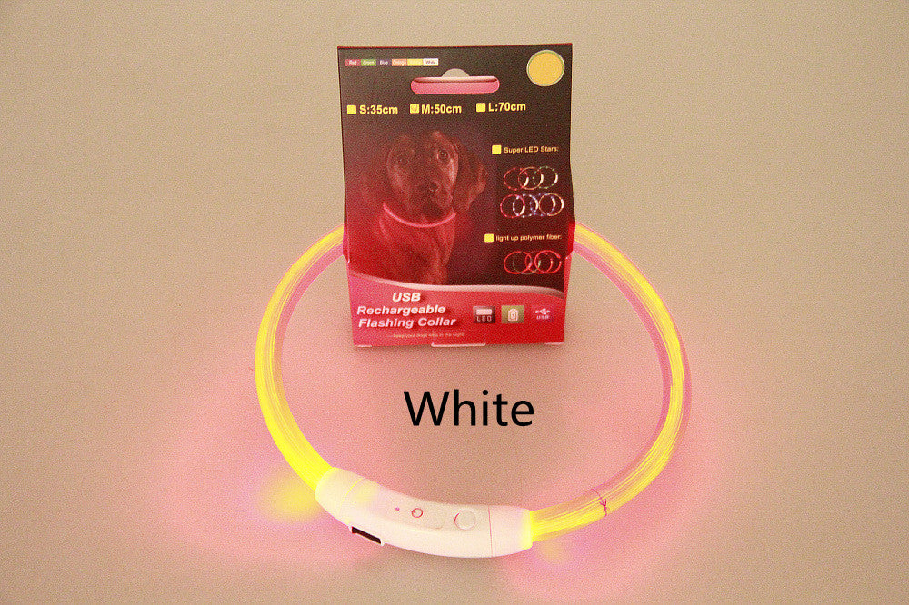 Light-up pet collar for nighttime safety!