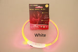 Light-up pet collar for nighttime safety!