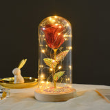 Eternal rose flowers with LED light in glass cover