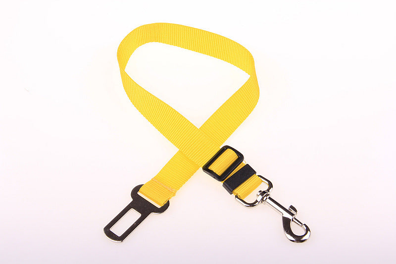 Polyester dog leash with fixed loop - stability meets style