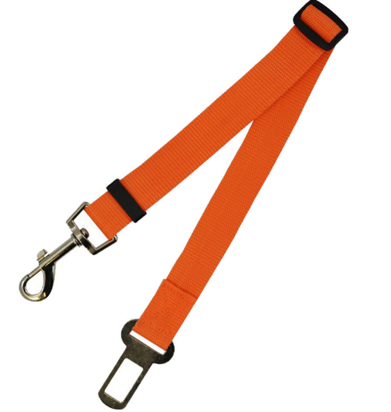 Polyester dog leash with fixed loop - stability meets style