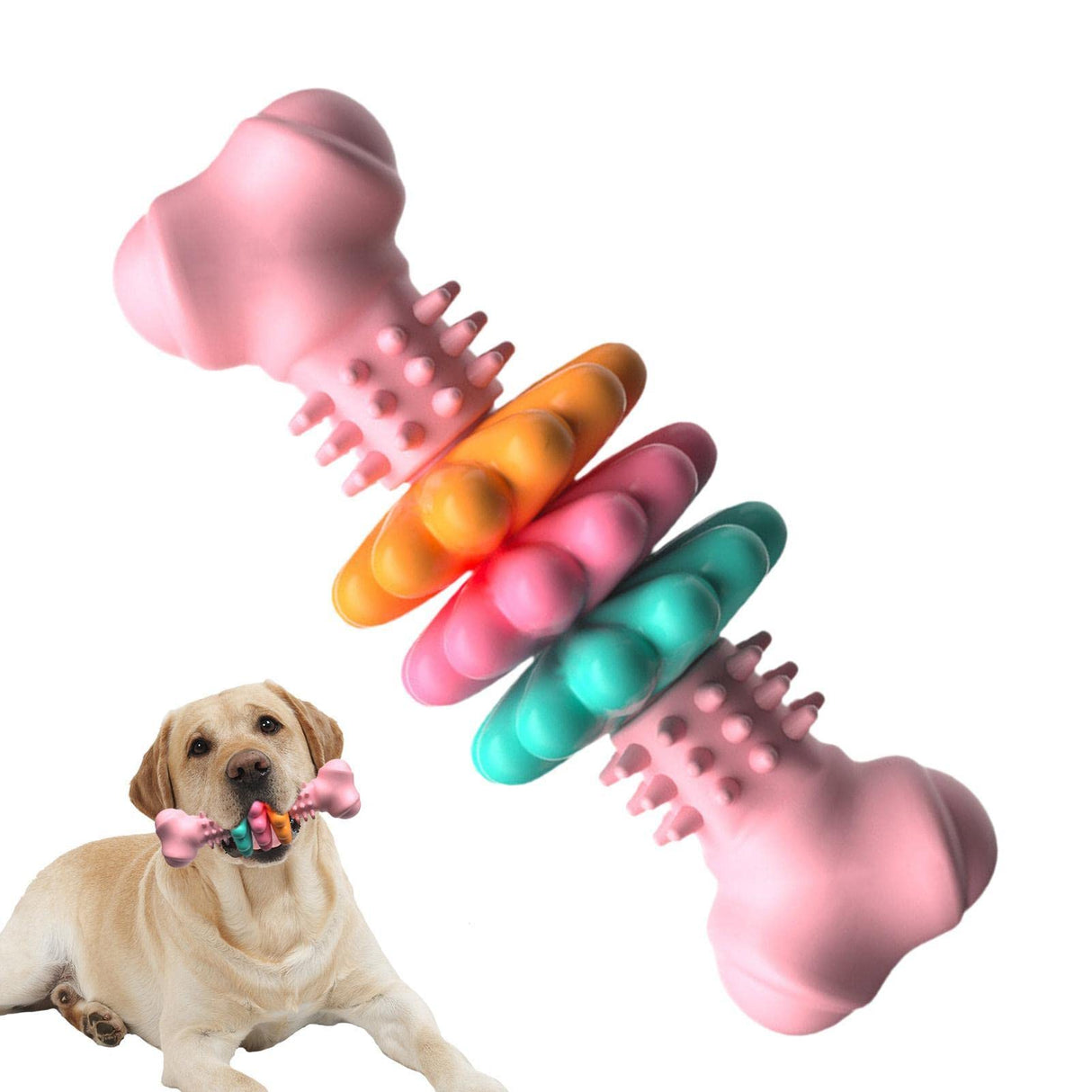 Sturdy chew bone toy for dogs - cleaning and entertainment in one