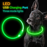 Light-up pet collar for nighttime safety!