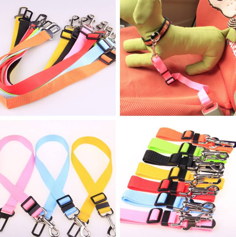 Polyester dog leash with fixed loop - stability meets style